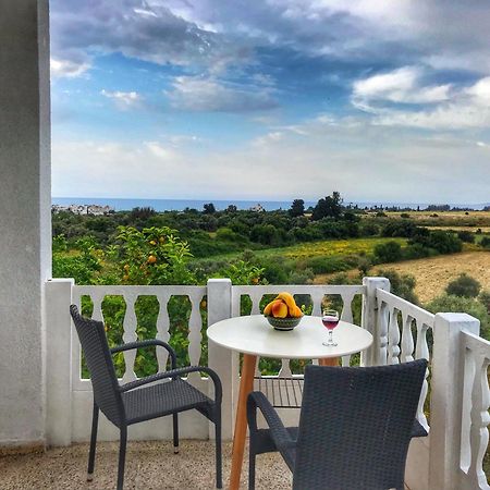 Tina'S Cozy Studio Polis Dış mekan fotoğraf
